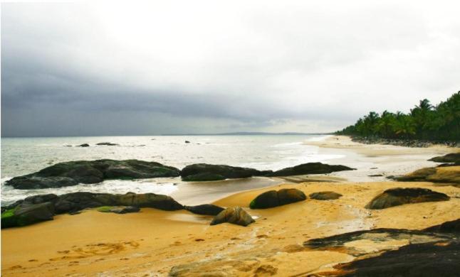 Hotel Nest Residency Kozhikode Zewnętrze zdjęcie